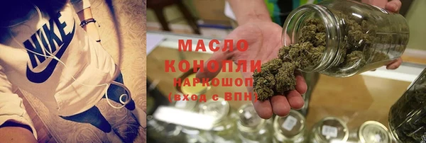 стаф Аркадак