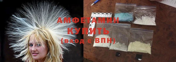 стаф Аркадак
