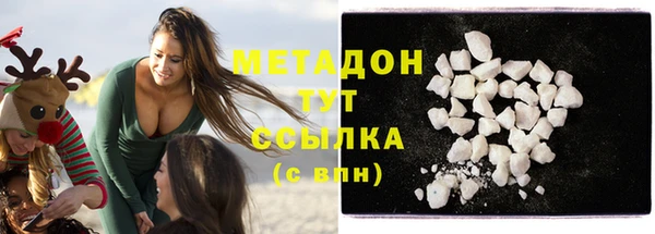стаф Аркадак