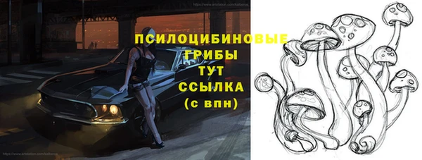 дживик Баксан