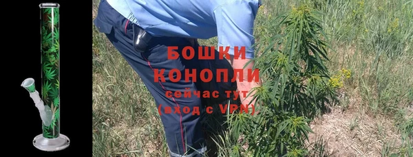 стаф Аркадак
