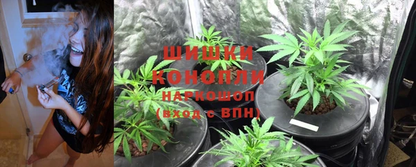 прущие крисы Армянск