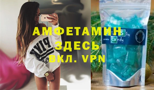стаф Аркадак